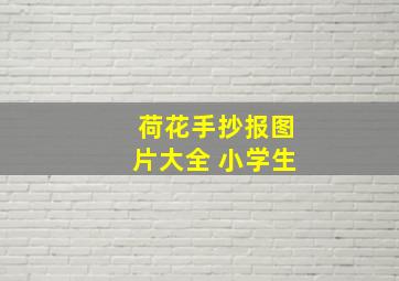 荷花手抄报图片大全 小学生